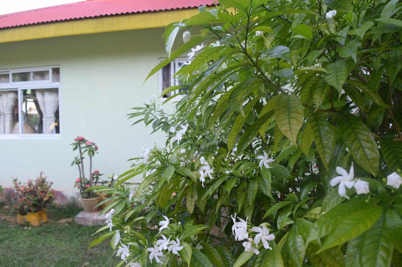 Pension Citadelle Đảo Đảo La Digue Ngoại thất bức ảnh